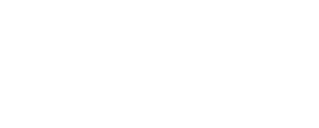 Dempsey roofing logo white